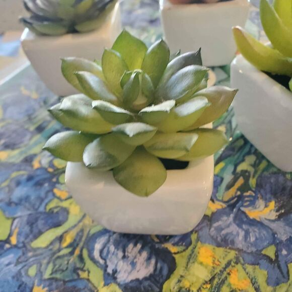 Faux potted mini succulents - Picture 3 of 3